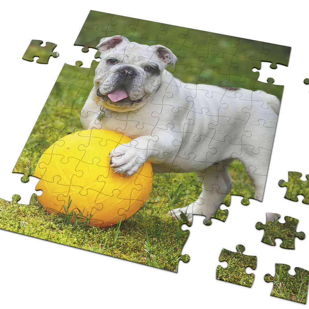 Puzzle Deines Lieblings