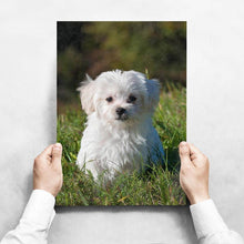 Laden Sie das Bild in den Galerie-Viewer, Portrait Deines Lieblings - Original
